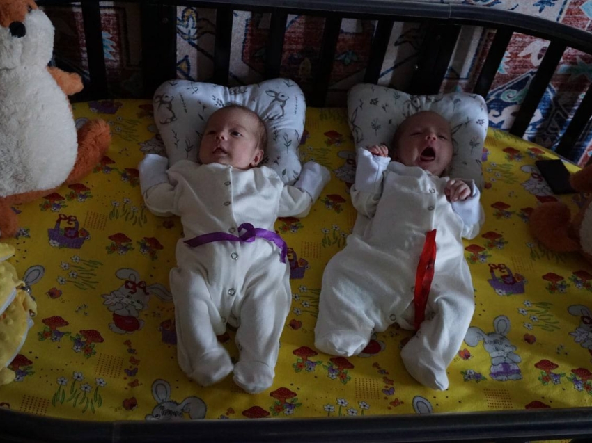 Шесть девчонок и шесть пацанов – двойни родились в многодетных семьях из Шилки